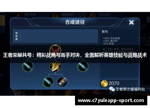 王者荣耀共号：精彩战局与高手对决，全面解析英雄技能与战略战术