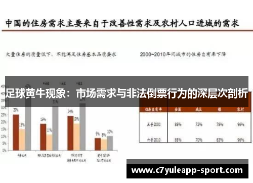 足球黄牛现象：市场需求与非法倒票行为的深层次剖析