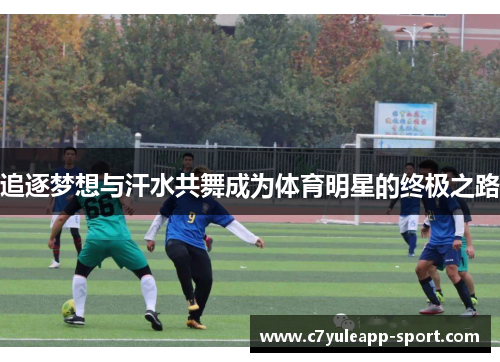 追逐梦想与汗水共舞成为体育明星的终极之路